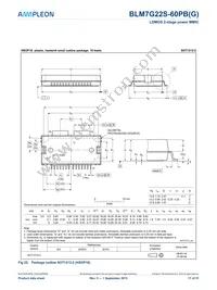 BLM7G22S-60PBGY Datasheet Page 17