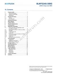 BLM7G24S-30BGY Datasheet Page 19