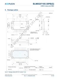 BLM8G0710S-30PBY Datasheet Page 14
