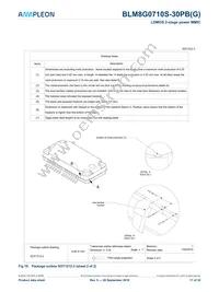 BLM8G0710S-30PBY Datasheet Page 17