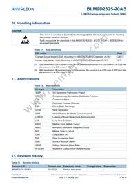 BLM9D2325-20ABZ Datasheet Page 13