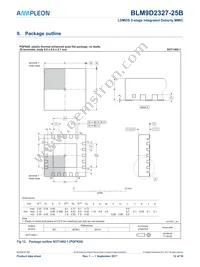 BLM9D2327-25BZ Datasheet Page 12