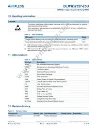 BLM9D2327-25BZ Datasheet Page 13