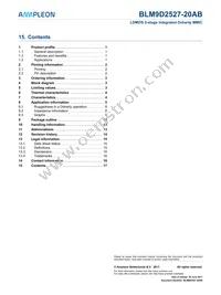 BLM9D2527-20ABZ Datasheet Page 17