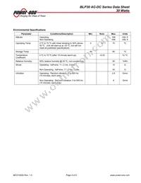 BLP30-3000G Datasheet Page 4