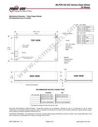 BLP30-3000G Datasheet Page 6