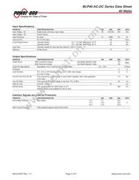 BLP40-3000G Datasheet Page 2