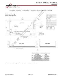 BLP40-3000G Datasheet Page 4