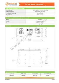 BMOD0036 P075 B02 Datasheet Page 2