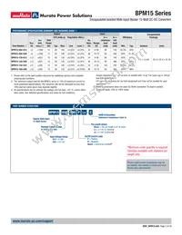 BPM15-050-Q12N-C Datasheet Page 2