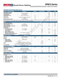BPM15-050-Q12N-C Datasheet Page 3