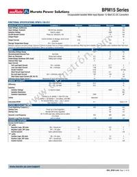 BPM15-050-Q12N-C Datasheet Page 11