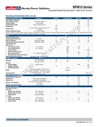 BPM15-050-Q12N-C Datasheet Page 19