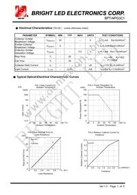 BPT-NPG3C1 Datasheet Page 2