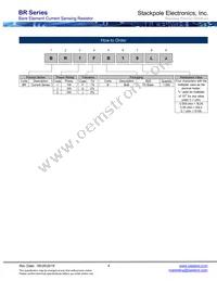 BR1FB20L0 Datasheet Page 4