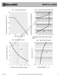 BR64 Datasheet Page 2