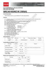 BRCA016GWZ-WE2 Datasheet Cover