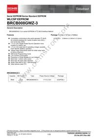 BRCB008GWZ-3E2 Datasheet Cover