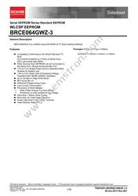 BRCE064GWZ-3E2 Datasheet Cover