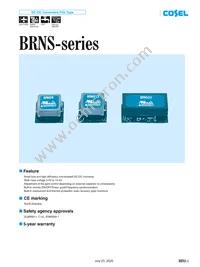 BRNS20 Datasheet Cover