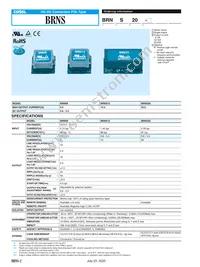 BRNS20 Datasheet Page 2