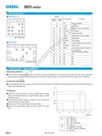 BRNS20 Datasheet Page 4