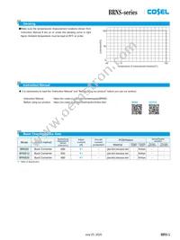 BRNS20 Datasheet Page 5