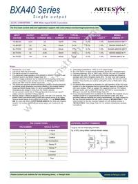 BXA40-48S2V9-SM Datasheet Page 2