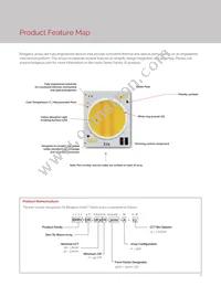 BXRV-DR-1830H-3000-A-13 Datasheet Page 4