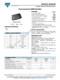 BYG21MHM3_A/I Datasheet Cover