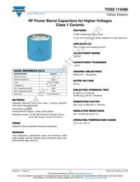 BZ114096WZ10238BK1 Datasheet Cover