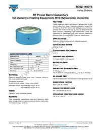 BZ118078WV75036CB1 Datasheet Cover