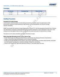 C/CT-1216 Datasheet Page 5