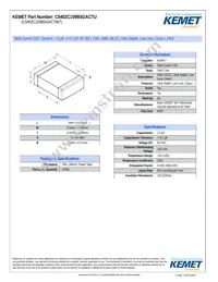 C0402C159B5GACTU Cover