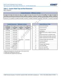 C052H472J1G5GA7301 Datasheet Page 12