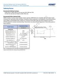 C0603R154K3RAC7867 Datasheet Page 10