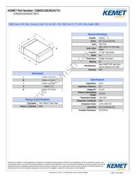 C0603X100J5GACTU Datasheet Cover