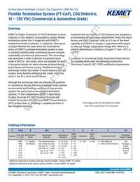 C0603X102F3GAC7867 Datasheet Cover