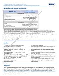 C0603X102F3GAC7867 Datasheet Page 2