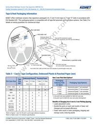 C0603X102F3GAC7867 Datasheet Page 14