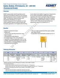 C062C104K1R5TA Datasheet Cover