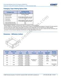 C0805C475K4PALTU Datasheet Page 2