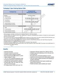 C0805W332KCRACTU Datasheet Page 2