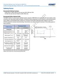 C0805W332KCRACTU Datasheet Page 12