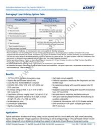 C0805X121J5GAC7800 Datasheet Page 2