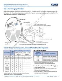 C0805X222G3GEC7210 Datasheet Page 14