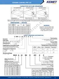 C0805Z101K5GAH Datasheet Cover