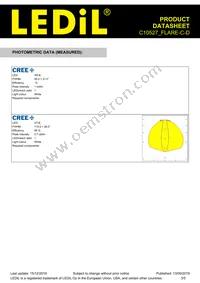 C10527_FLARE-C-D Datasheet Page 3