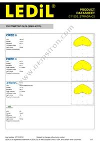 C11252_STRADA-C2 Datasheet Page 6