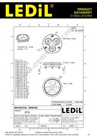 C11624_GT3-WW Datasheet Page 2